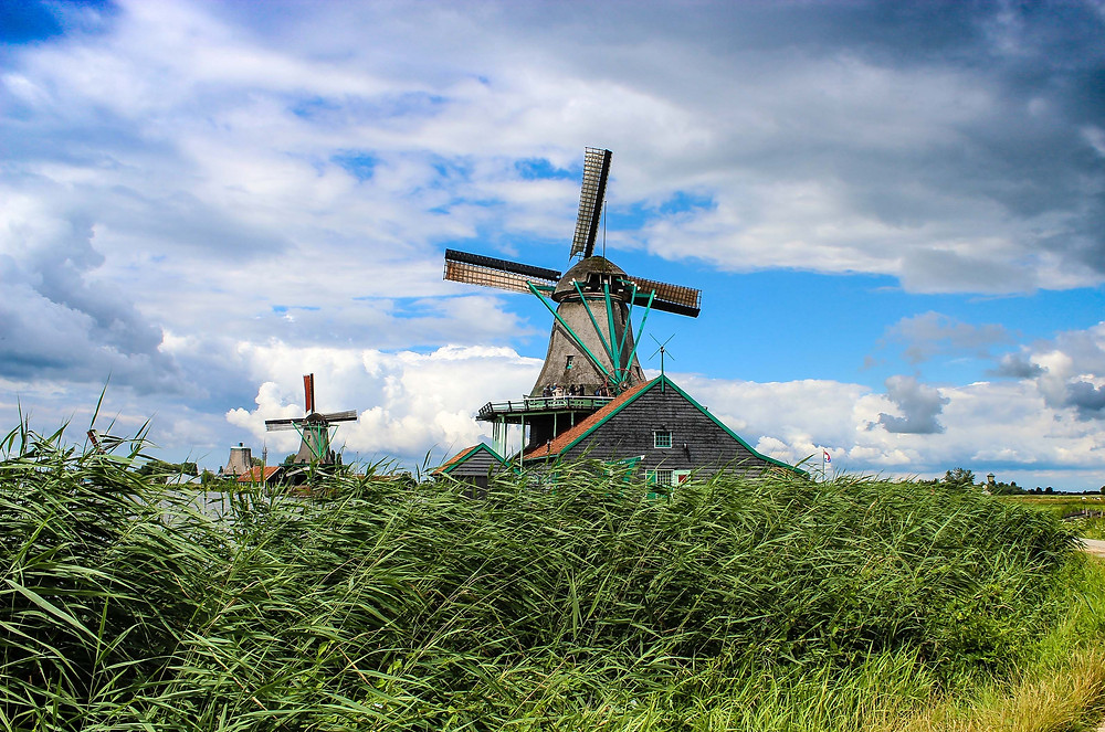 Green grass & windmills