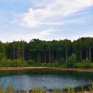 KIRŞEHİR NEŞET ERTAŞ POND