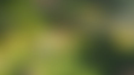 List of Universities in Laos