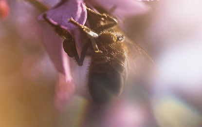 Image by Jeffrey Riley