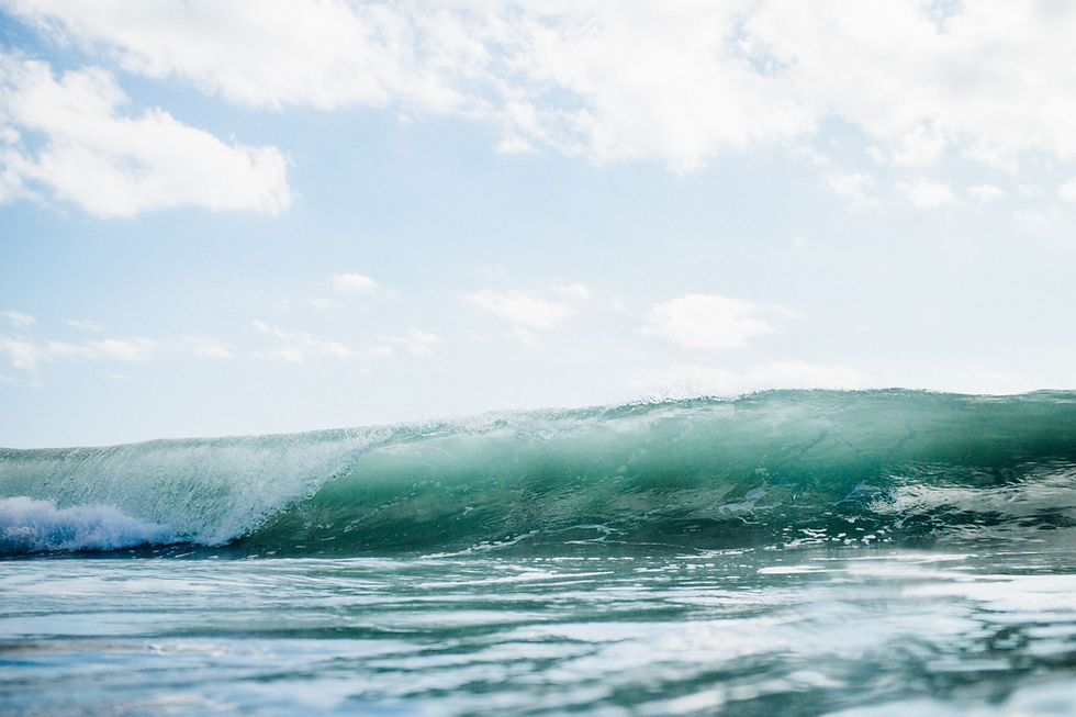 Image by Tim Marshall