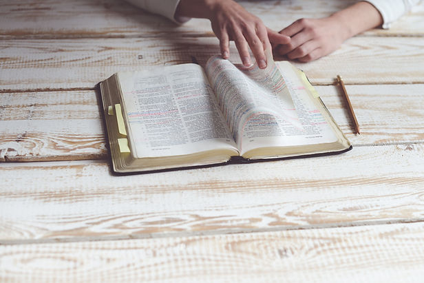 Person reading a bible
