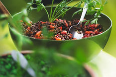 Bowl of lentils, vegetables and herbs. Healing food as advised by Faith Warner Ayurvedic Health Coach from AyurLife UK