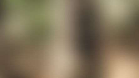 ביקורת משורש פורה ראש ולענה