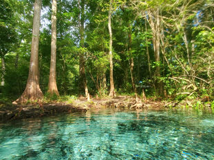 The Economic Perspective 5.7.2021