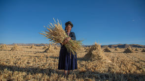 Sow in tears, reap with joy