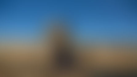 Sow in tears, reap with joy