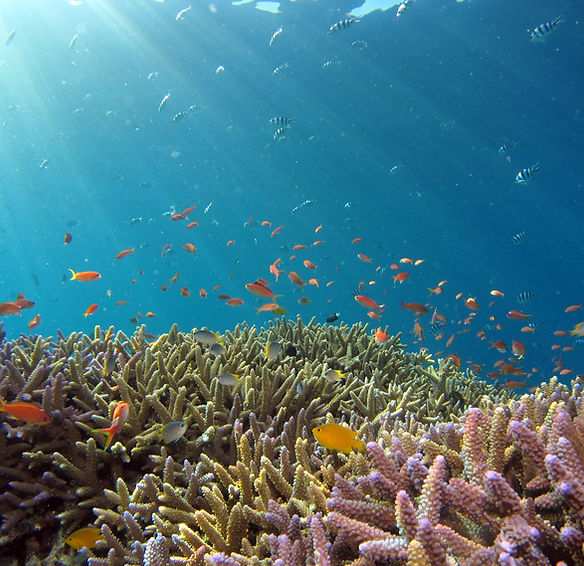 Underwater