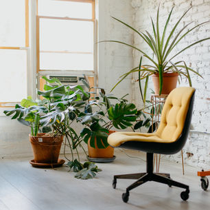 Yellow swivel chair and potted plants in a bright room with white brick walls and wooden flooring, under natural light from large windows.