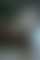 World Otter Day: Celebrating These Fascinating Creatures