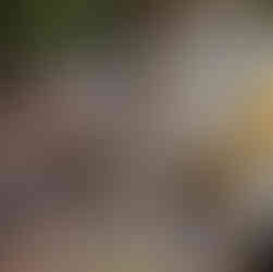 cooking with purpose