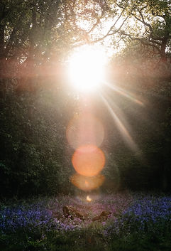 Image by Benn McGuinness
