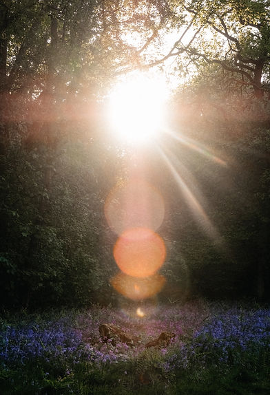 Image by Benn McGuinness