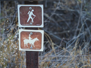 Experts Weigh In: Backpacking Gear That Actually Makes Your Hike Less Brutal