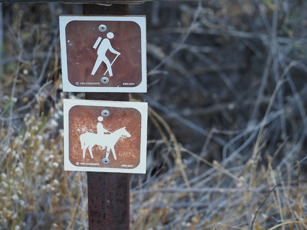 Experts Weigh In: Backpacking Gear That Actually Makes Your Hike Less Brutal