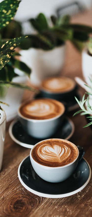 Image by Nathan Dumlao
