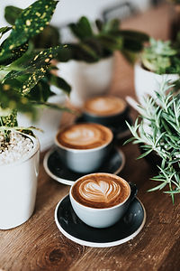 Image by Nathan Dumlao