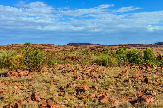 Image by Eddie Blair