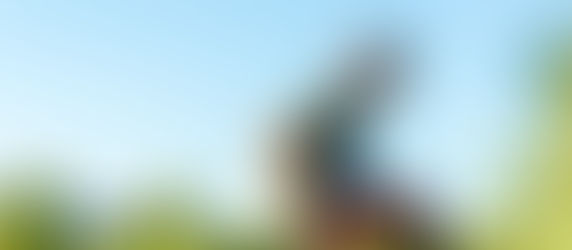 Nedirbantiems žemės nuomotojams užkirstas kelias pirmumo teise įsigyti besiribojančius žemės sklypus