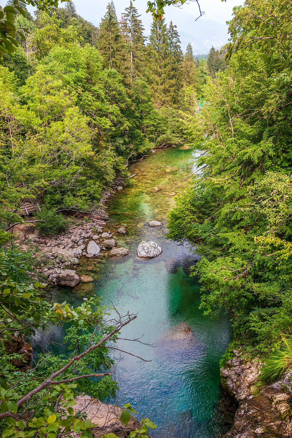 春の小川