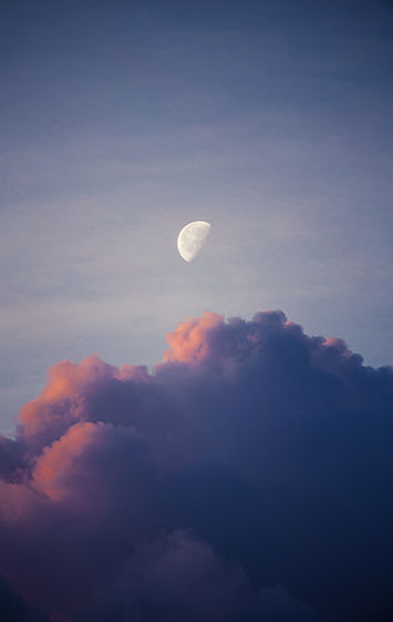 Image by Vino Li