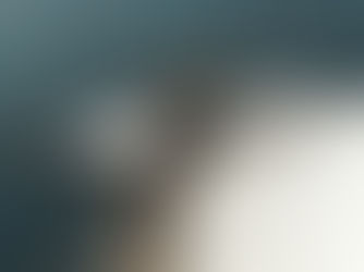 Wind-Assisted Propulsion Systems for Shipping Decarbonization