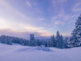 How to Set Gentler New Year's Intentions