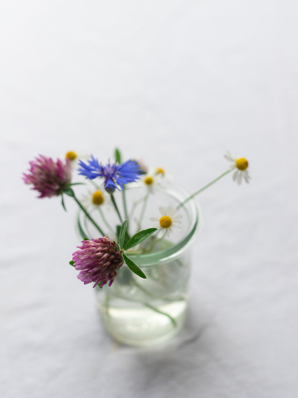 Image by Yulia Khlebnikova