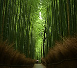 Image by Atsushi Tsubokura