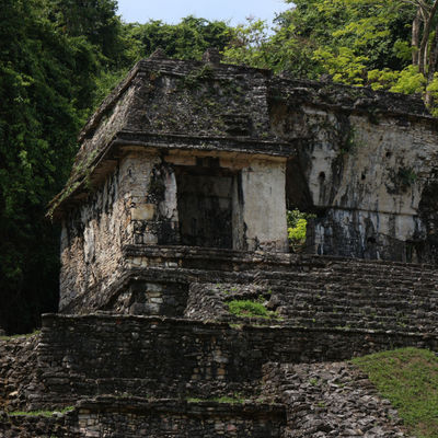 Image by Tulip Sunflower