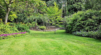 Image by Pankaj Shah