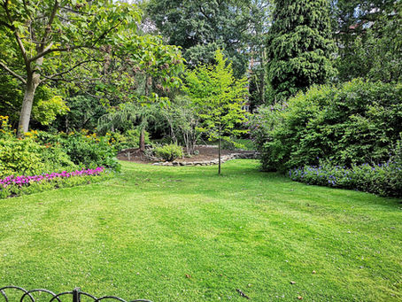 Lawn Care Update for Fall & Winter 2022