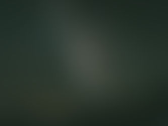 Lifestyles and Experiences in Spiritually Abusive Groups