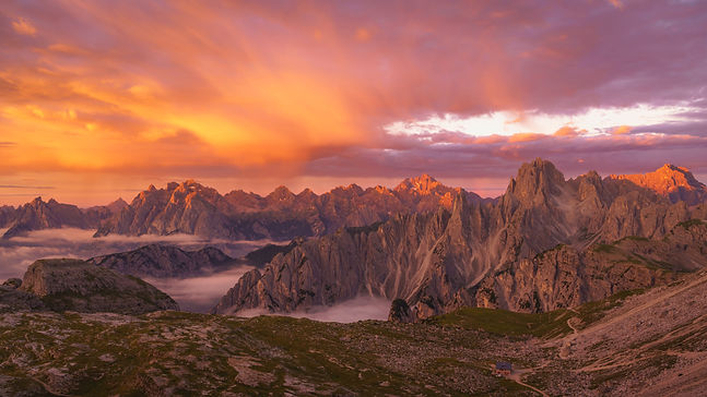 Image by Daniel Mirlea