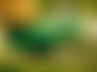 March Edition 2026: In a Nutshell: Crocs