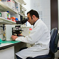 A male lab technician looking through a microscope in a lab coat