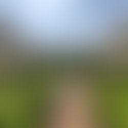 TORFL Russian Expands into Africa Through Strategic Partnership with Dante Languages