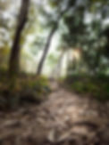 Image by Shakib Uzzaman