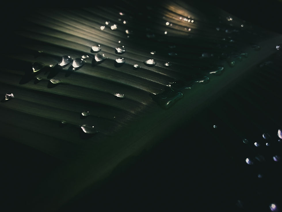 Image by Khoa Ngô