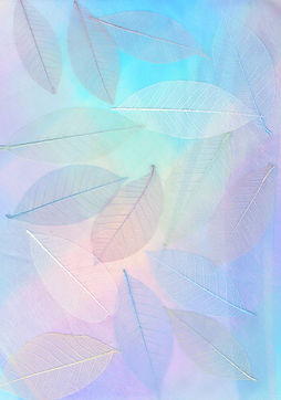 Image by Nareeta Martin