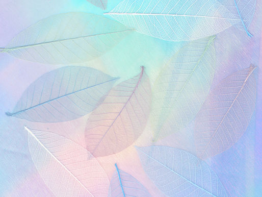 soft layered light symbolizing family members connected across past lives