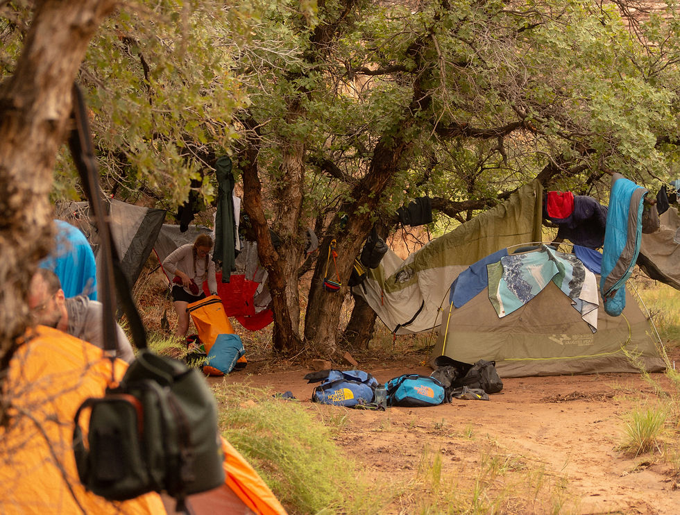 Verhalten auf Campingplätzen