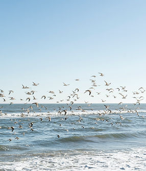 Image by Tommy Kwak