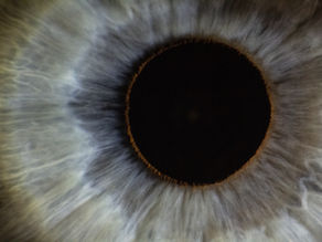 The Seer and The Seen: Collapsing the Gap on The Longing for Love