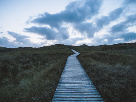 My Path to Now