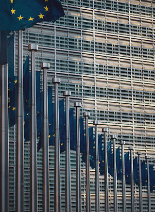 Image by Christian Lue