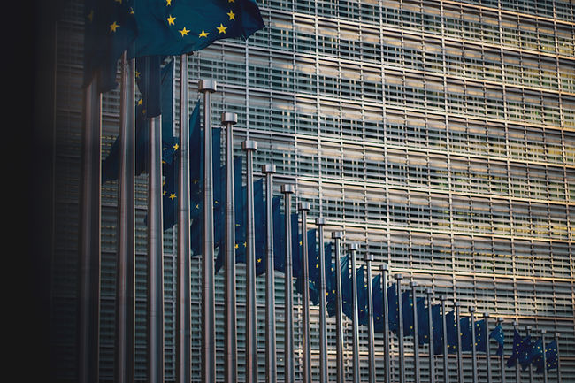 Image by Christian Lue