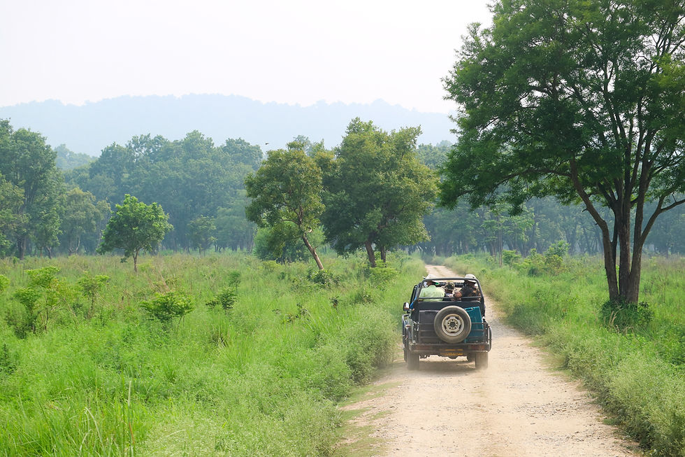 Jim Corbett 2 night 3 days corporate package — group enjoying jungle resort stay and canter safari