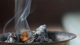 Prayer, Evangelism, and the Purposes of God