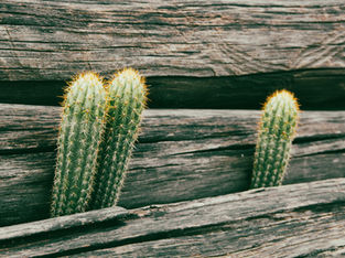 Tolerate the Discomfort.